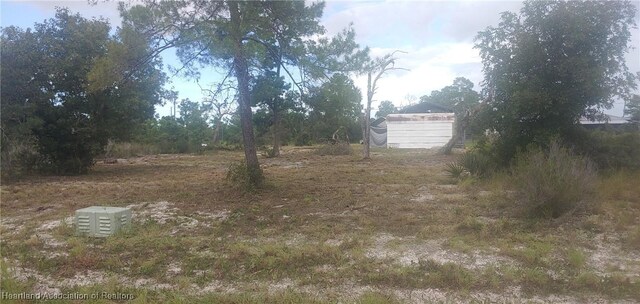 446 Hoover Ave NE, Lake Placid FL, 33852 land for sale