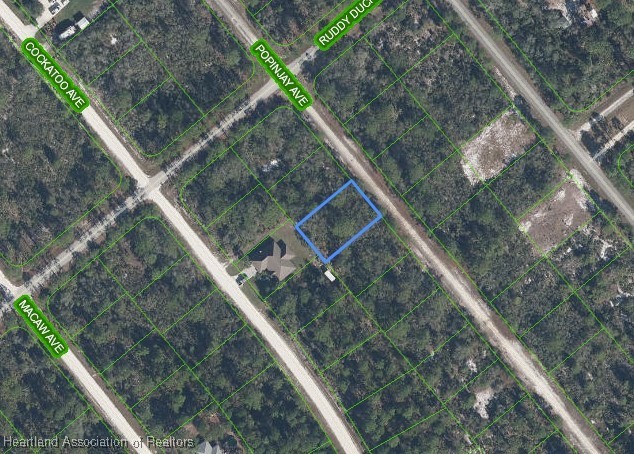 1218 Popinjay Ave, Lake Placid FL, 33852 land for sale