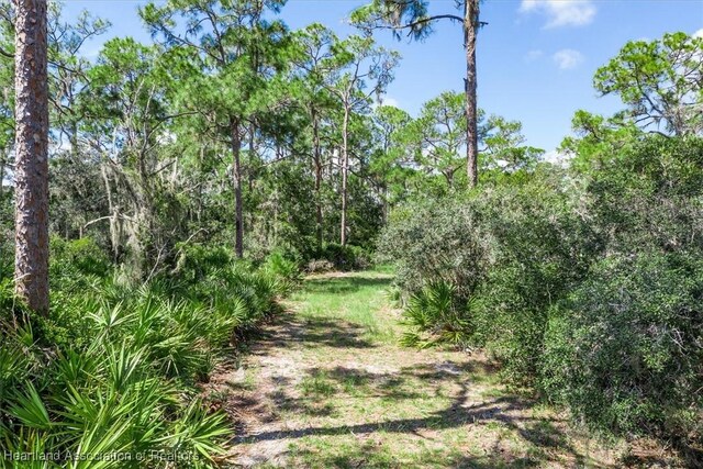 3026 Woodland Trl, Sebring, FL 33875 - photo 13
