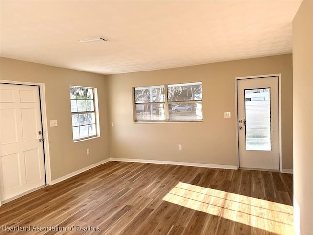 entryway featuring wood-type flooring