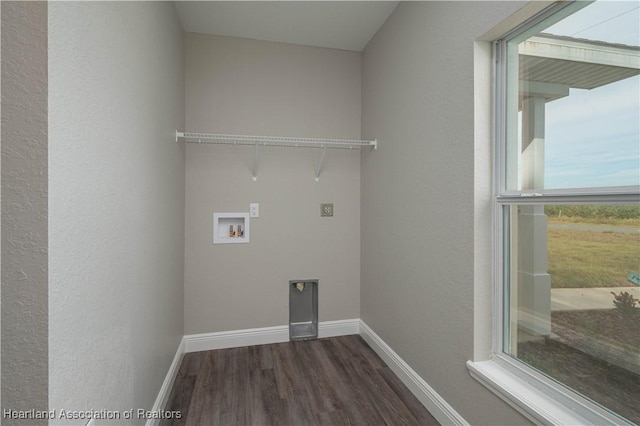 laundry room with washer hookup, electric dryer hookup, and dark wood-type flooring