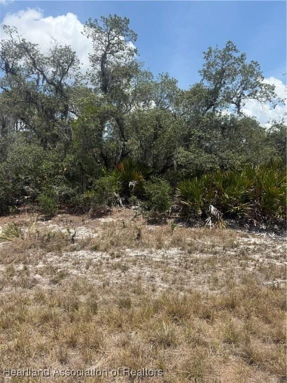 330 Matthews St NW, Lake Placid, FL 33852