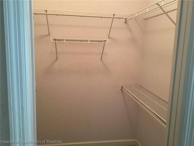 view of walk in closet