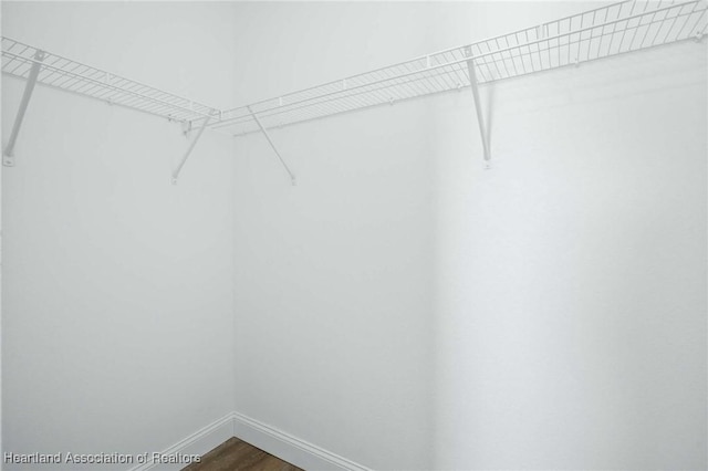 spacious closet featuring hardwood / wood-style flooring