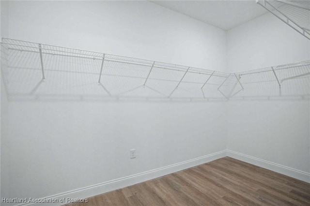 spacious closet with wood-type flooring