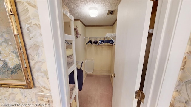 bathroom featuring crown molding and a textured ceiling