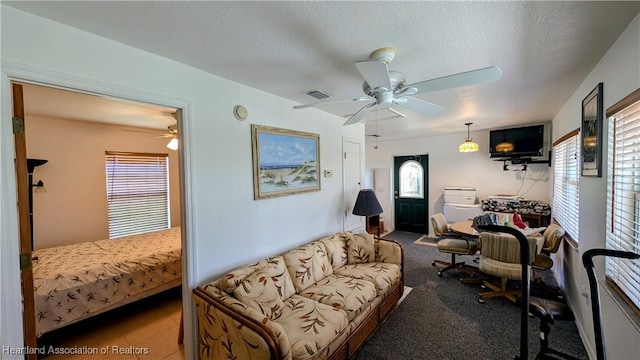 living room featuring plenty of natural light, carpet floors, and a textured ceiling