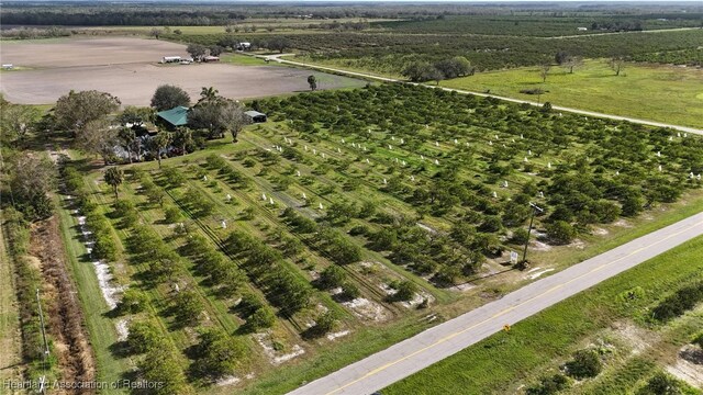 bird's eye view with a rural view