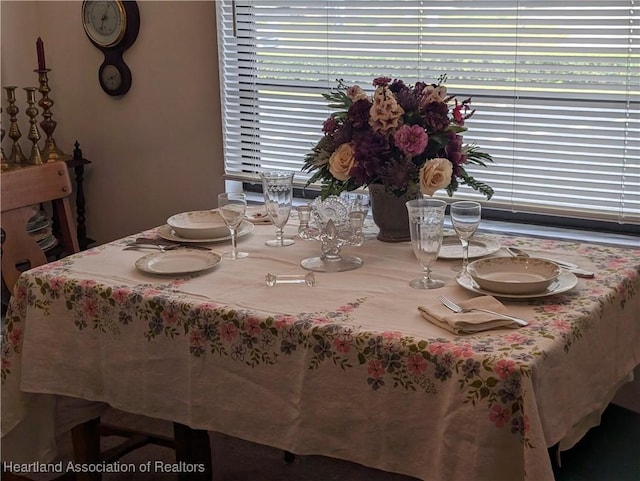 dining space featuring a wealth of natural light