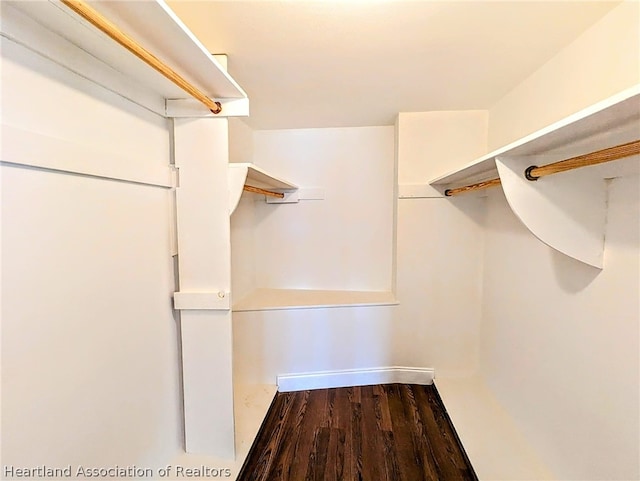 spacious closet with wood-type flooring