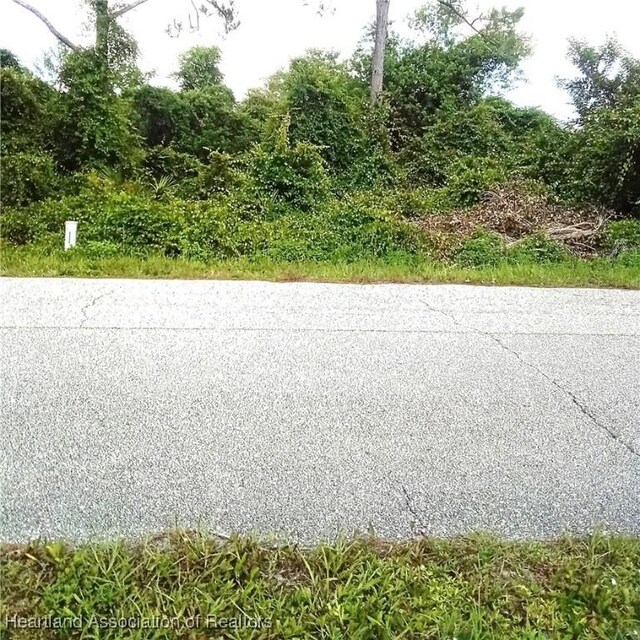 223 Barbados Dr NE, Lake Placid, FL 33852 - photo 7