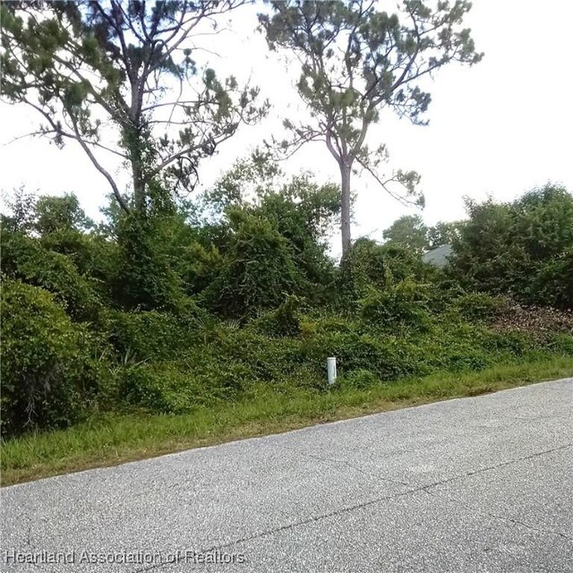 223 Barbados Dr NE, Lake Placid, FL 33852 - photo 6
