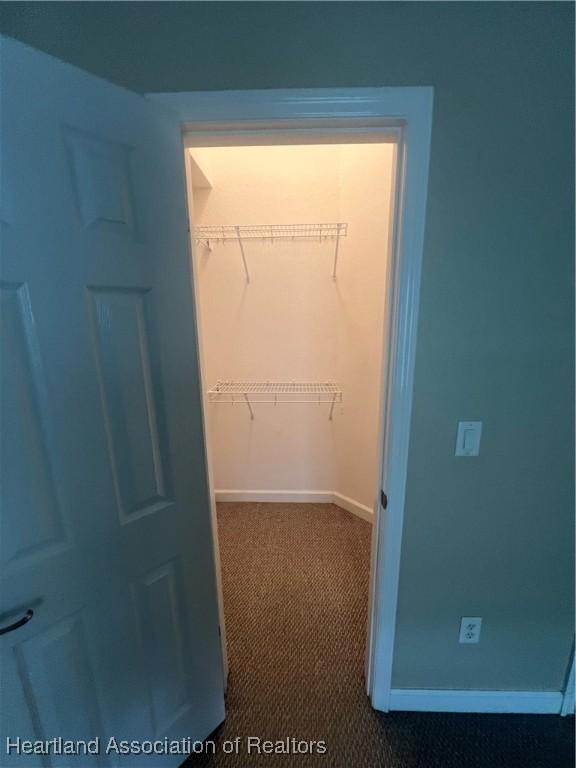 spacious closet featuring carpet floors