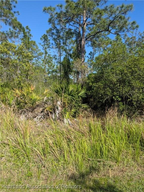 4914 Lime Rd, Sebring, FL 33875