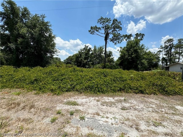 561 Farrell Dr NE, Lake Placid FL, 33852 land for sale