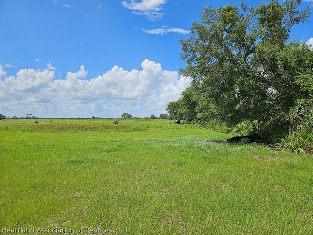 1000 Cattle Rd, Venus FL, 33960 land for sale