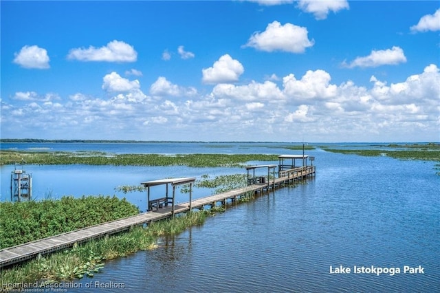 dock area with a water view