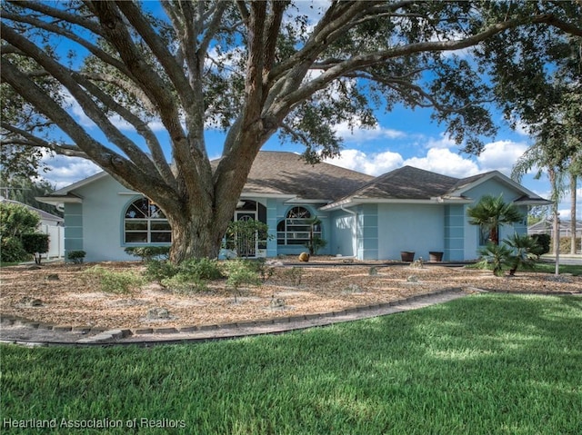 ranch-style house with a front lawn