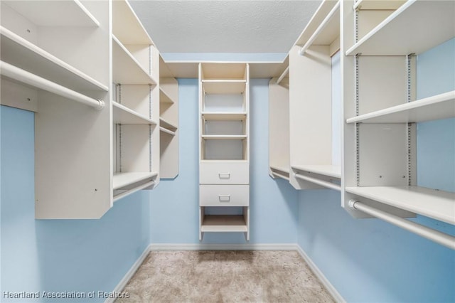 spacious closet with light carpet