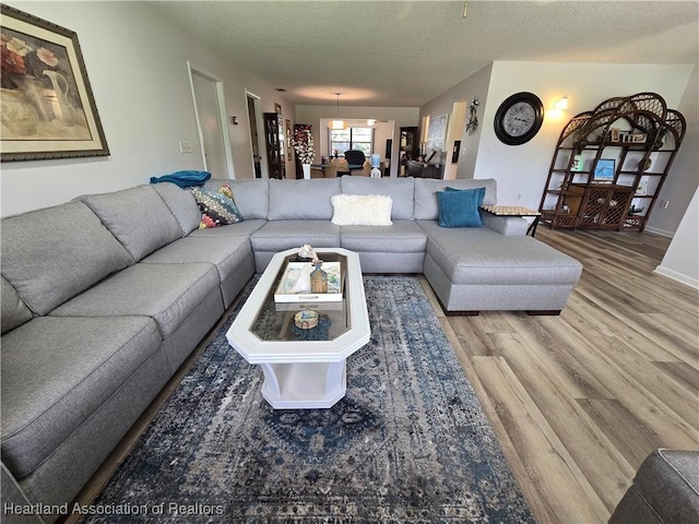 1725 Amber Ln, Lake Placid, FL 33852 - living area featuring wood finished floors and a textured ceiling