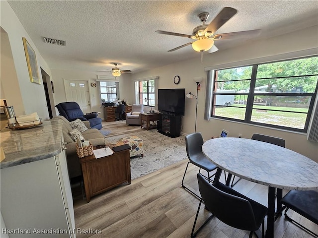 1725 Amber Ln, Lake Placid, FL 33852 - living area with ceiling fan, a textured ceiling, and light wood finished floors