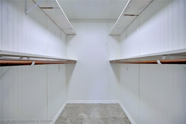 spacious closet featuring carpet floors