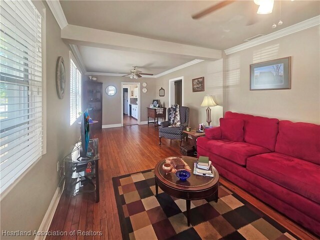 21 N French Ave, Fort Meade, FL 33841 - living room with a ceiling fan, wood-type flooring, baseboards, and crown molding