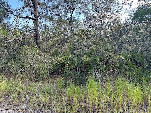 4815 Fortune Ave, Sebring, FL 33875 - photo 4