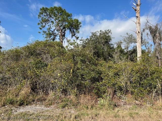 152 Marshall Ave, Lake Placid FL, 33852 land for sale