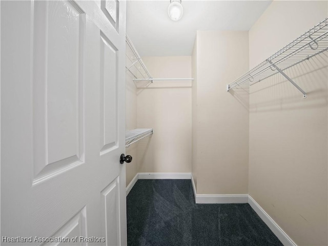 spacious closet with carpet