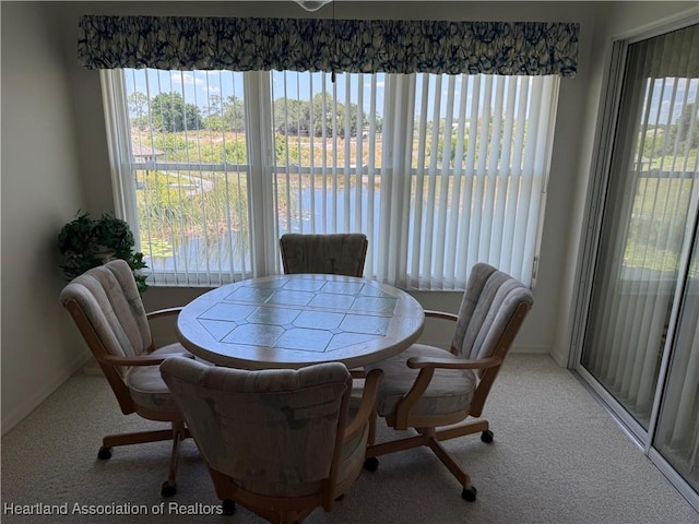 810 Chelsee Way, Lake Placid, FL 33852 - photo 12