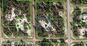 1045 Iguana St, Lake Placid FL, 33852 land for sale