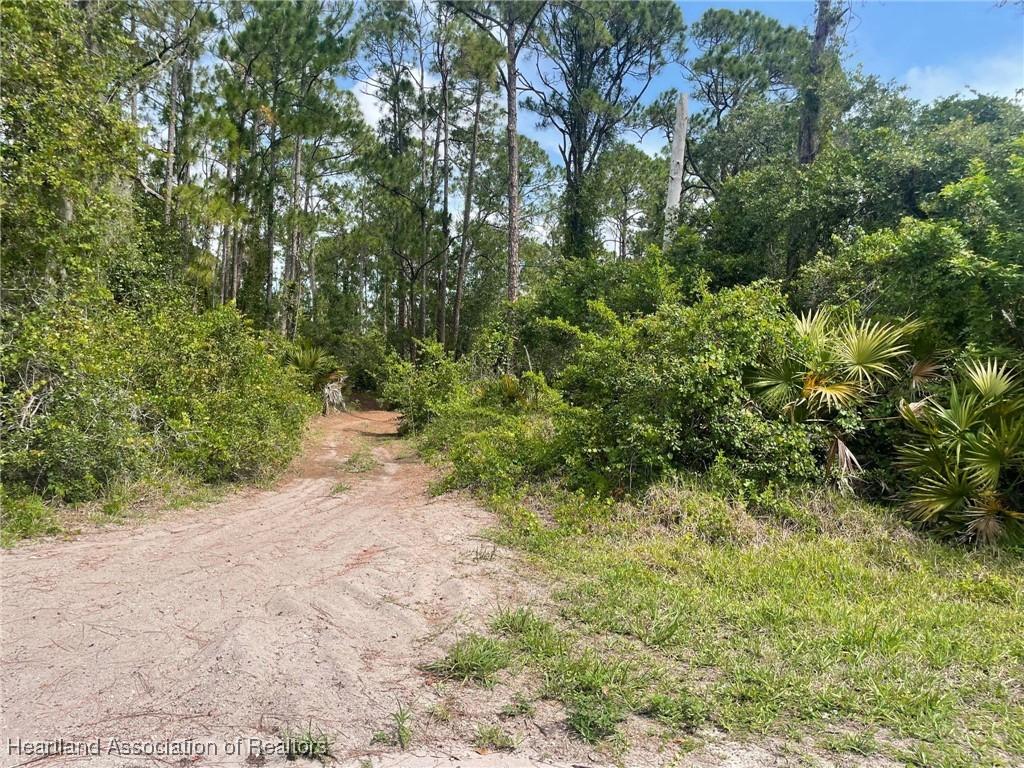 3323 Lake Dr, Lake Placid, FL 33852 - photo 4