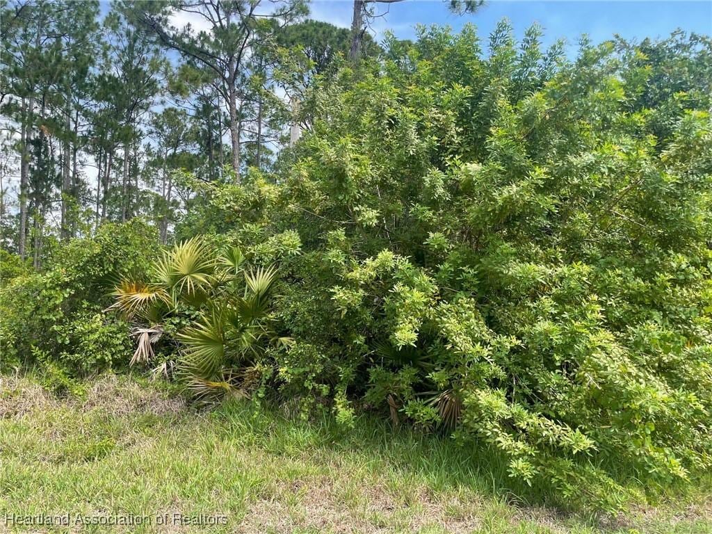 3323 Lake Dr, Lake Placid, FL 33852 - photo 2