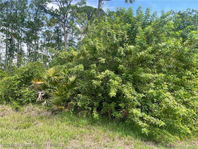3323 Lake Dr, Lake Placid, FL 33852 - photo 2