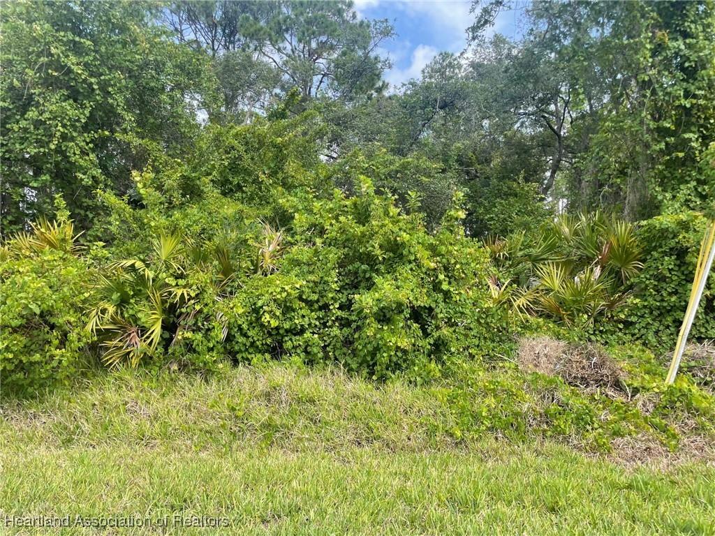 3323 Lake Dr, Lake Placid, FL 33852 - photo 3