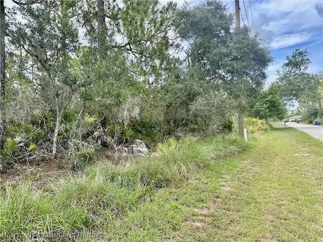 221 Pelican Ave, Sebring, FL 33870 - photo 4