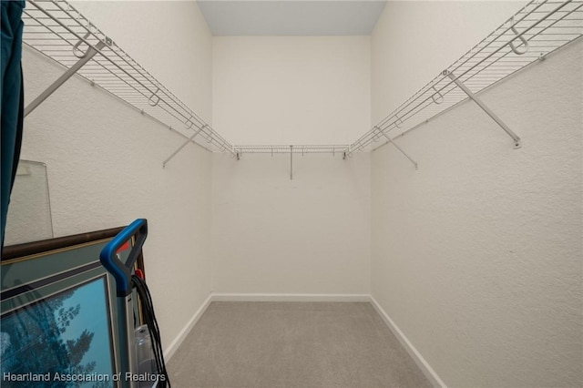 4032 Carter Dr, Avon Park, FL 33825 - photo 33