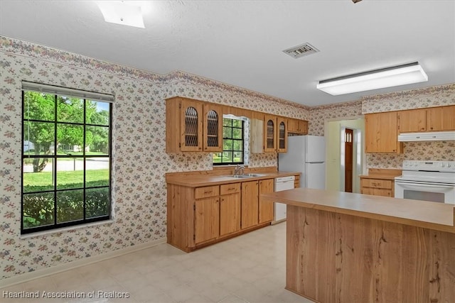 kitchen with sink and white appliances