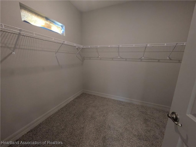 spacious closet with carpet