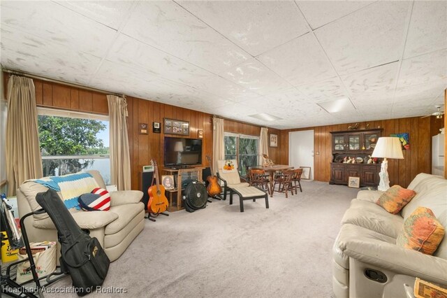 115 Heinley Rd, Lake Placid, FL 33852 - photo 33