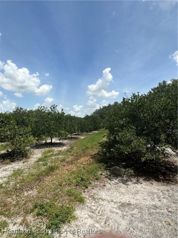 Prescott Rd, Zolfo Springs FL, 33890 land for sale