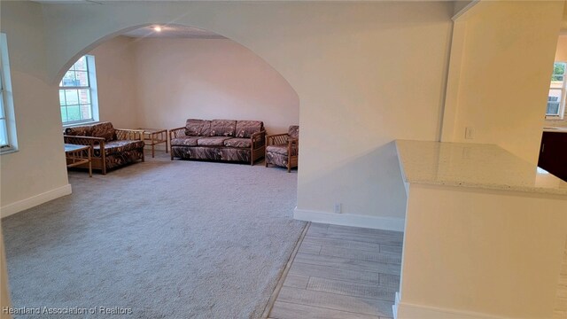 living room featuring carpet floors