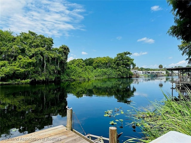 dock area with a water view