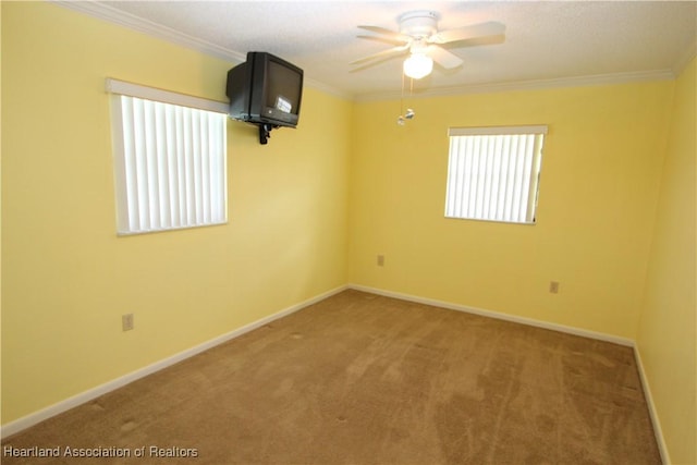 spare room featuring ceiling fan, carpet floors, and ornamental molding