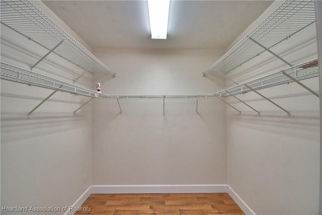 1000 Thompson Ave, Frostproof, FL 33843 - photo 18