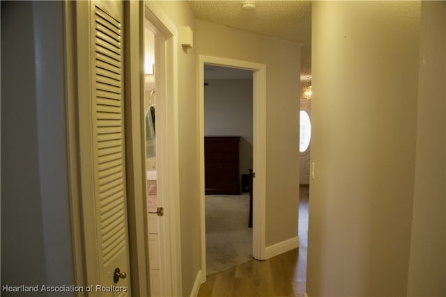 102 Oak St, Lake Placid, FL 33852 - corridor with light wood-style flooring and a textured ceiling