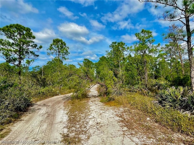 1833 Nectar Ave, Sebring, FL 33875 - photo 8