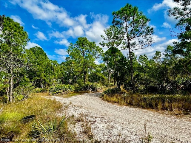 1833 Nectar Ave, Sebring, FL 33875 - photo 4