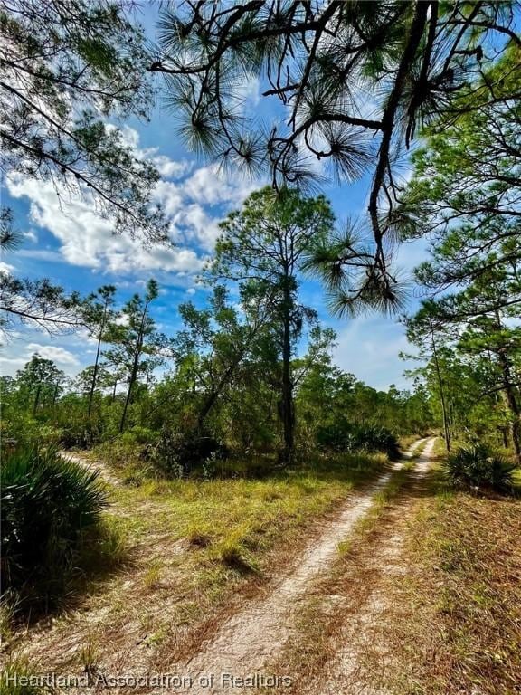 1833 Nectar Ave, Sebring, FL 33875 - photo 2